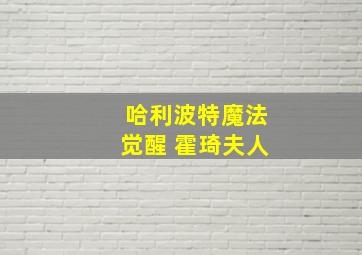 哈利波特魔法觉醒 霍琦夫人